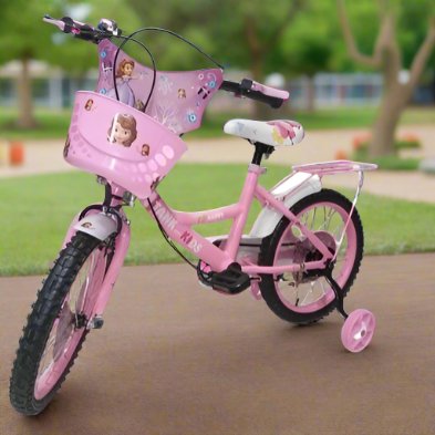 16" Princes Bicycle with Two Extension Wheels | 2 Wheeler - BLL - B16 - 00516 PRINCES - Planet Junior