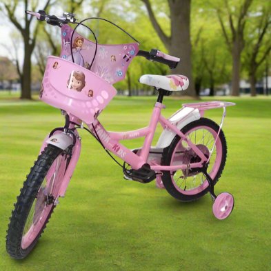 16" Princes Bicycle with Two Extension Wheels | 2 Wheeler - BLL - B16 - 00516 PRINCES - Planet Junior