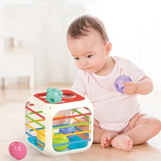 2 in 1 Shape Stacking and Sorting Box - BLL - MT - 8994A - Planet Junior