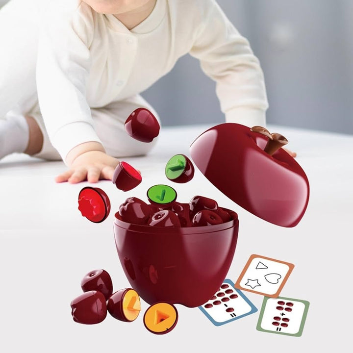 Apple Shape Sorting & Matching Toy – 4 - in - 1 Educational Learning Game - SLT - FXB - 30 - Planet Junior