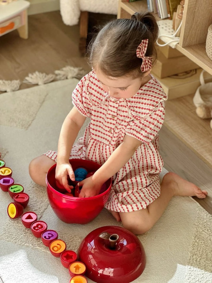 Apple Shape Sorting & Matching Toy – 4 - in - 1 Educational Learning Game - SLT - FXB - 30 - Planet Junior
