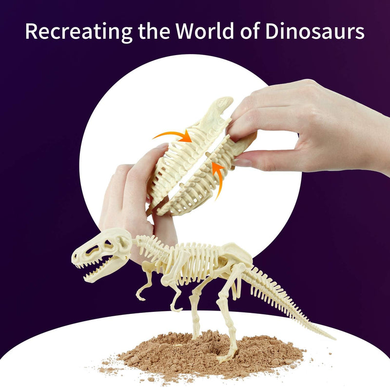 Dinosaur Excavation Model Kit - AST505 - Planet Junior