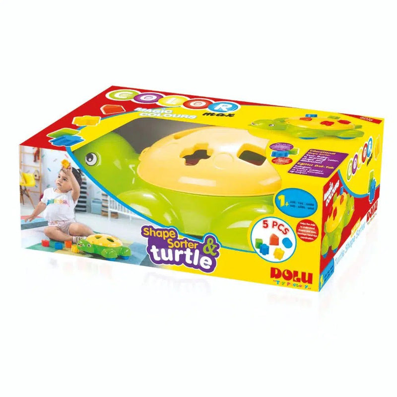 Turtle store shape sorter