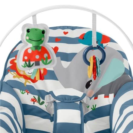 Fisher Price Infant To Toddler Rocker for Kids - GVG45 - Planet Junior